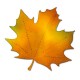 Fustella Sizzix Bigz Leaf Maple