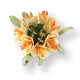 Fustella Sizzix Thinlits flower olivia