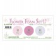 Fommy Leane Creatief 0,8 mm in fogli A4 6 pezzi colori sfumati Rosa Viola