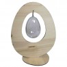 Uovo in legno con uovo trasparente