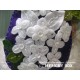 Fustella metallica Memory Box Plush Flower Buttons