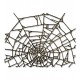 Fustella Sizzix Thinlits Cobweb by Tim Holtz